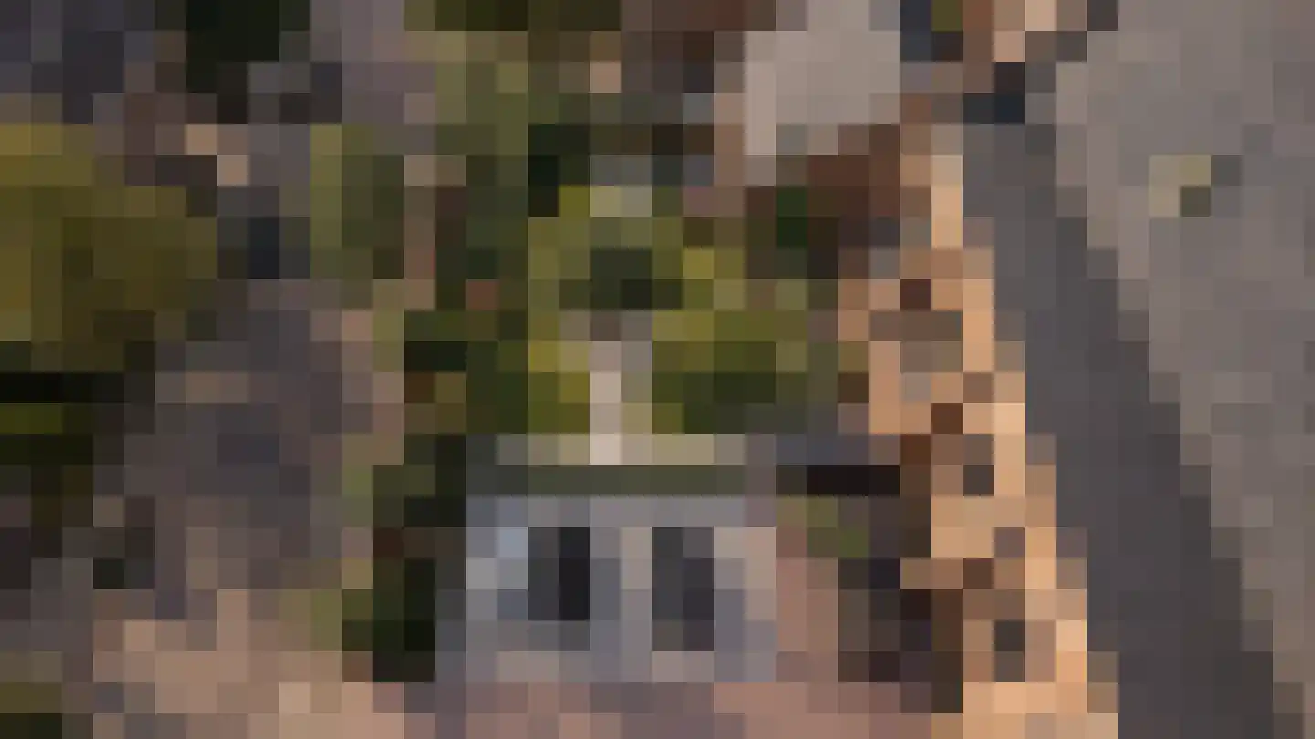 Hoefstraat 9 Tilburg thumbnail 38
