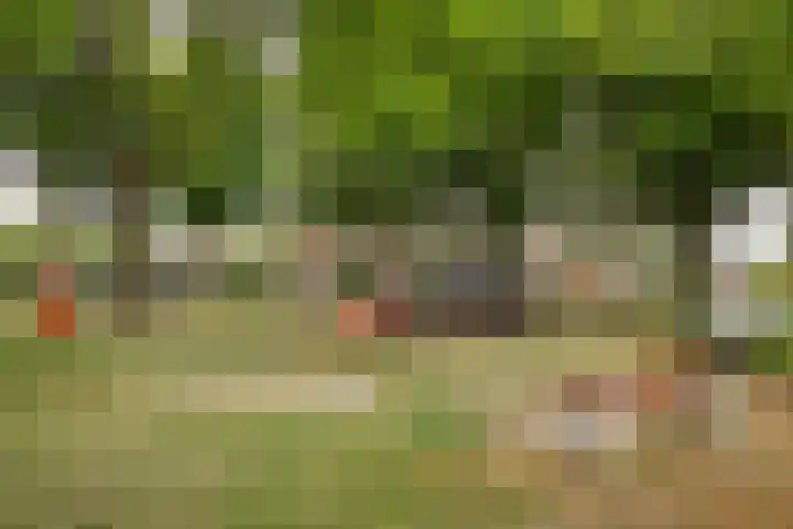 Hoefveld 38 Landgraaf thumbnail 29