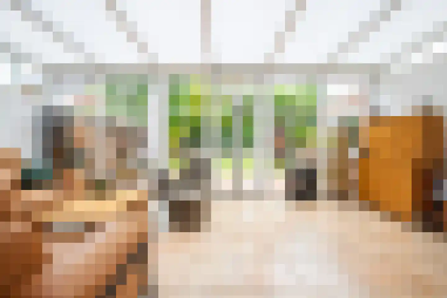 Hoefveld 64 Landgraaf thumbnail 12
