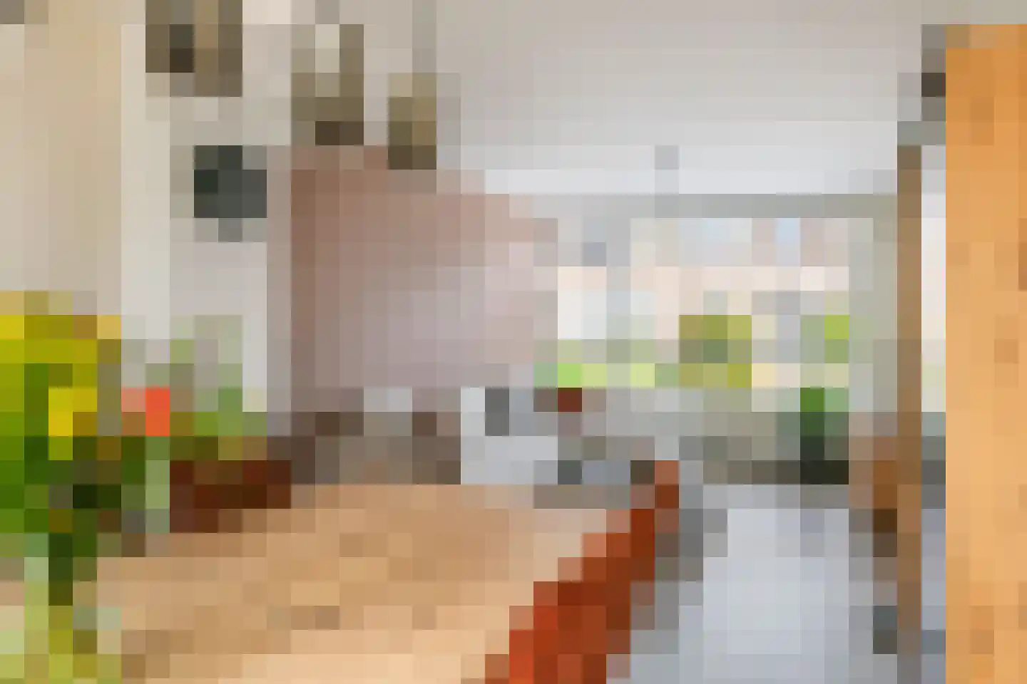 Hoefweg 11 Wadenoijen thumbnail 11