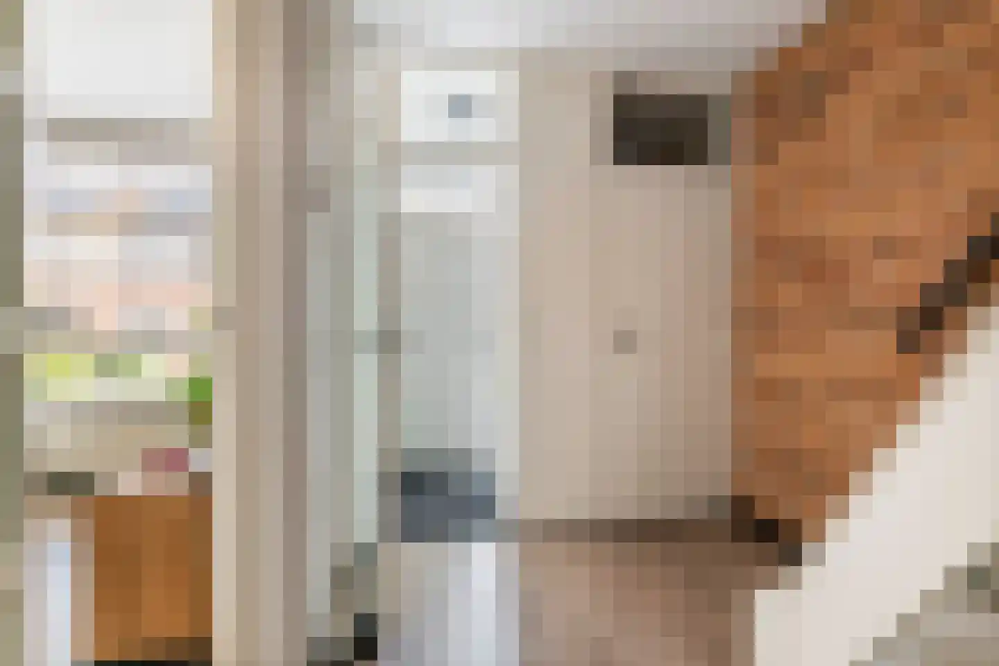 Hoefweg 11 Wadenoijen thumbnail 4