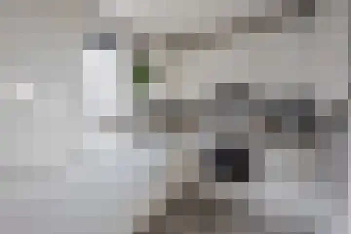 Hoefweg 12 Apeldoorn thumbnail 17