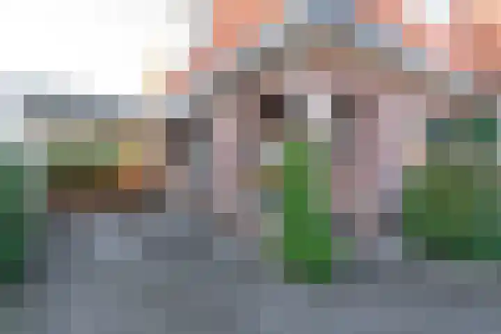 Hoefweg 12 Apeldoorn foto 2