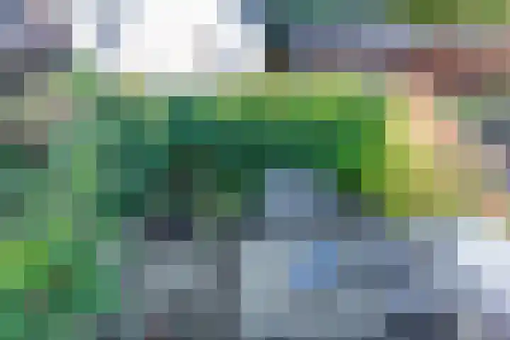 Hoefweg 12 Apeldoorn thumbnail 52
