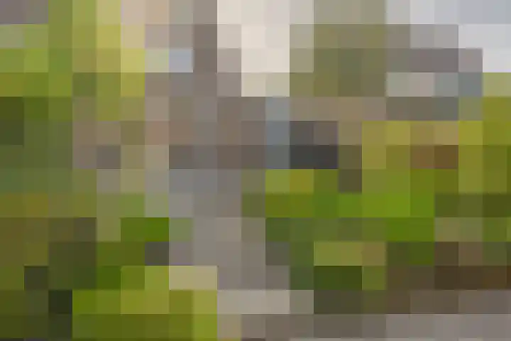 Hoefweg 120 Bleiswijk thumbnail 26
