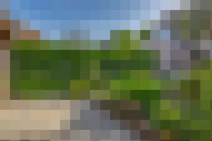Hoefweg 120 Bleiswijk thumbnail 29
