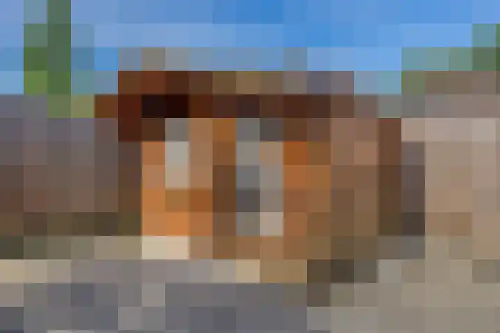 Hoefweg 120 Bleiswijk thumbnail 30