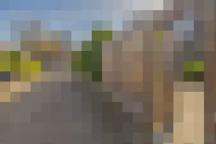 Hoefweg 120 Bleiswijk thumbnail 34