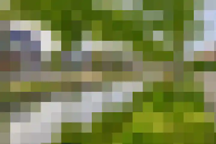 Hoefweg 120 Bleiswijk thumbnail 35