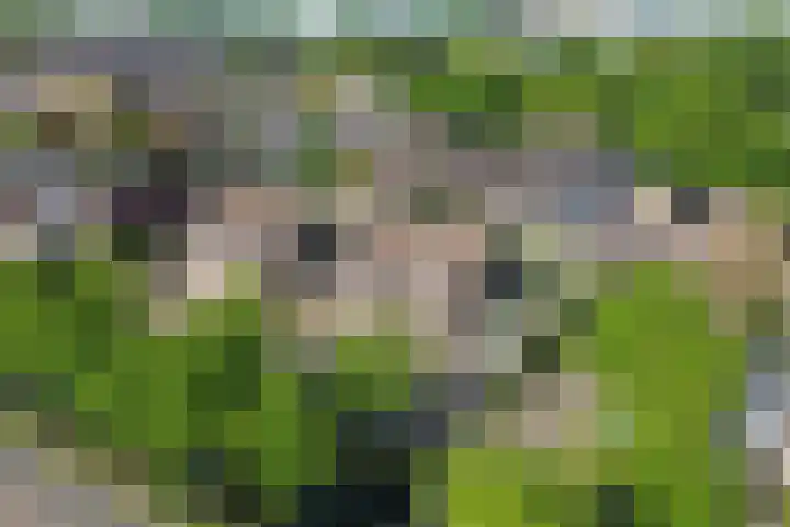Hoefweg 120 Bleiswijk thumbnail 36