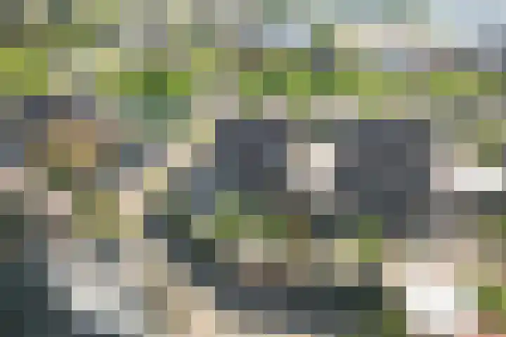 Hoefweg 120 Bleiswijk thumbnail 37
