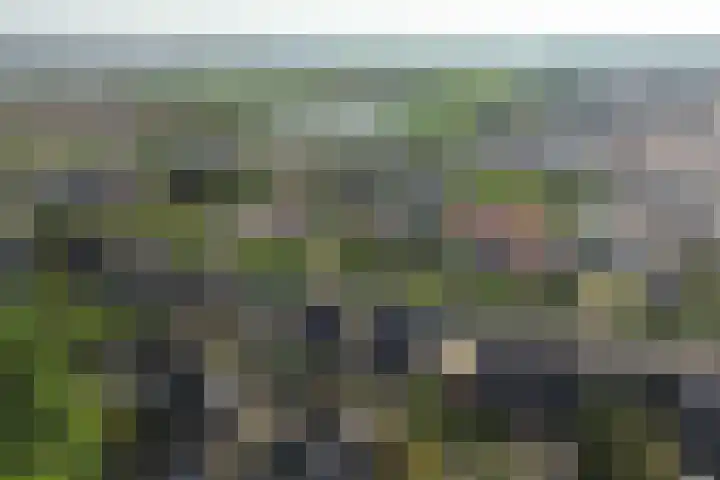 Hoefweg 120 Bleiswijk thumbnail 38