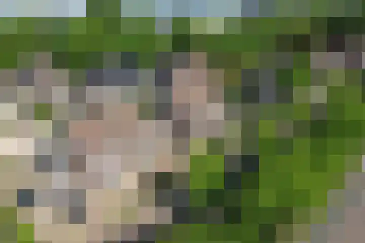 Hoefweg 120 Bleiswijk thumbnail 4