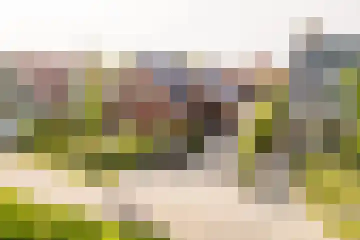 Hoefweg 13 Oostvoorne