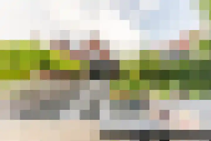 Hoefweg 13 Oostvoorne thumbnail 4