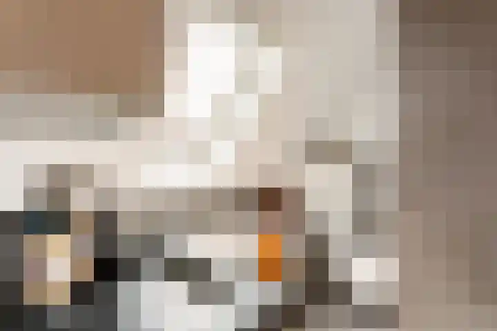 Hoefweg 13 Oostvoorne thumbnail 44