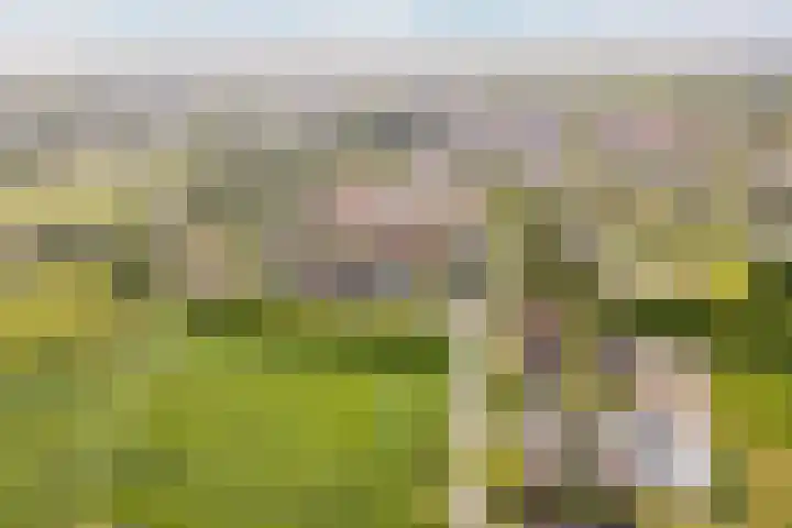 Hoefweg 13 Oostvoorne thumbnail 5