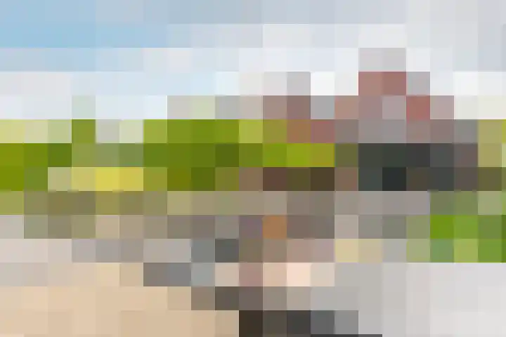 Hoefweg 13 Oostvoorne thumbnail 58