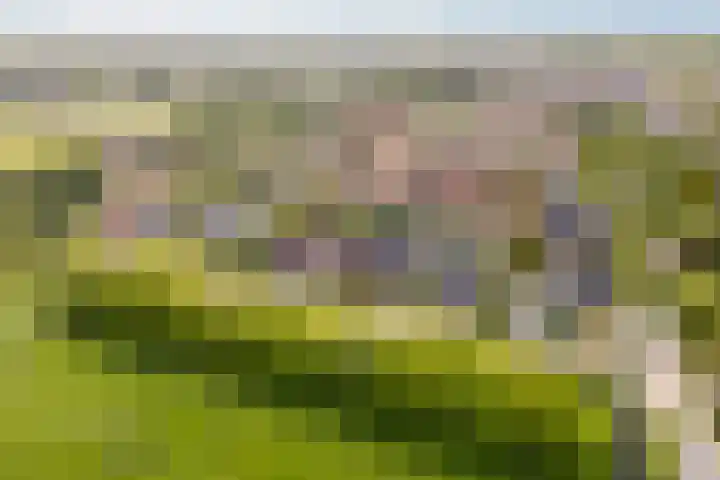 Hoefweg 13 Oostvoorne thumbnail 6