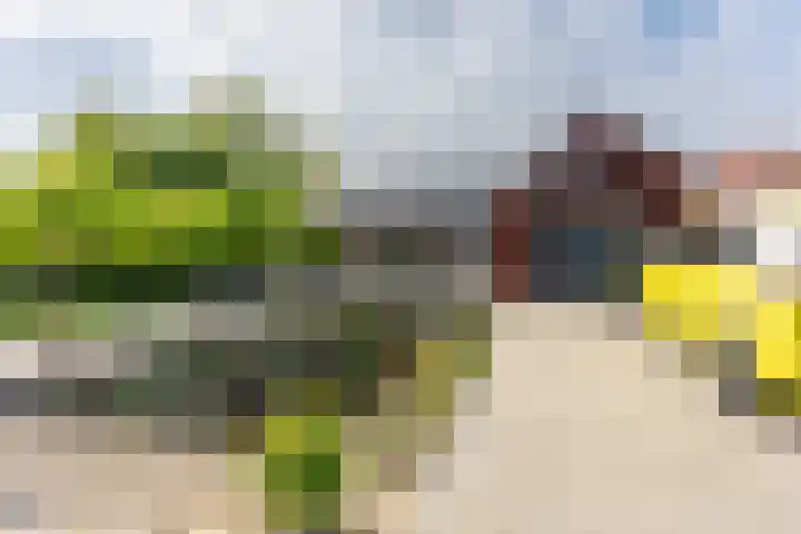 Hoefweg 13 Oostvoorne thumbnail 60