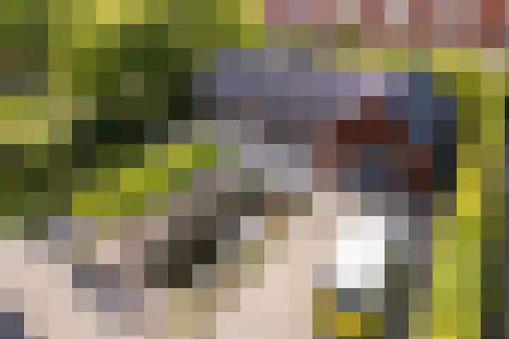 Hoefweg 13 Oostvoorne thumbnail 61