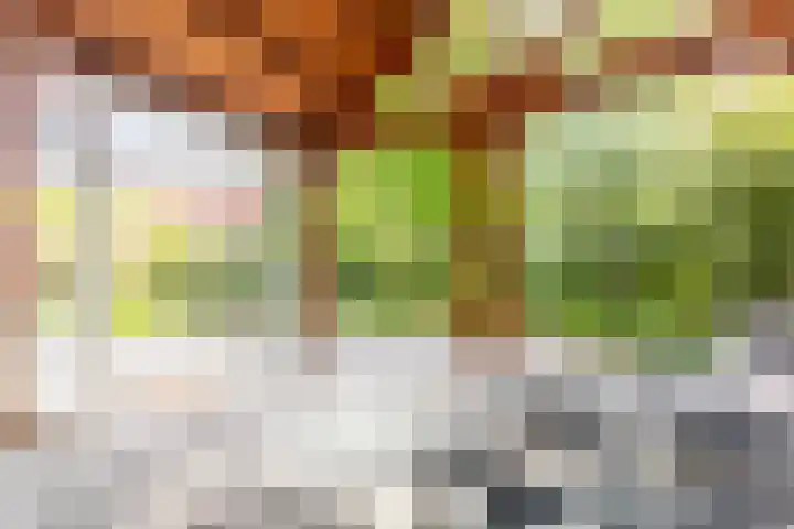 Hoefweg 13 Oostvoorne thumbnail 65