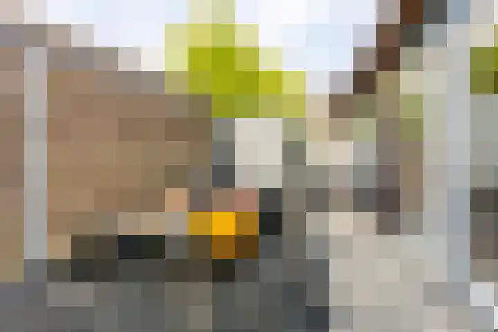 Hoefweg 13 Oostvoorne thumbnail 70