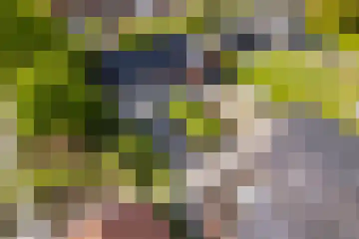 Hoefweg 13 Oostvoorne thumbnail 71