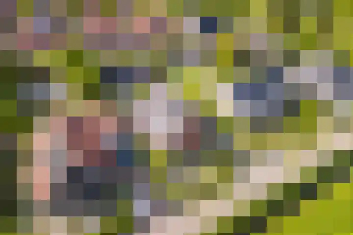 Hoefweg 13 Oostvoorne thumbnail 75