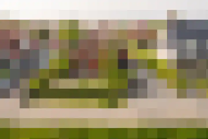 Hoefweg 13 Oostvoorne thumbnail 8