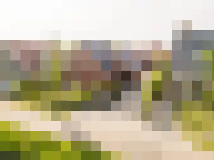 Hoefweg 13 Oostvoorne thumbnail 84