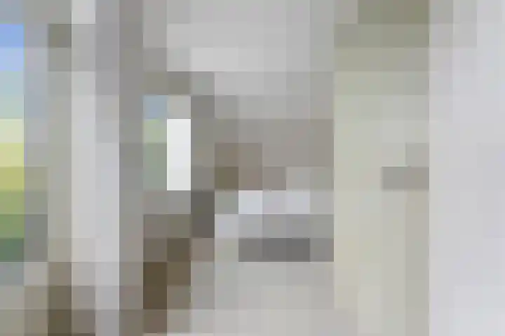 Hoefweg 141 Bleiswijk thumbnail 23