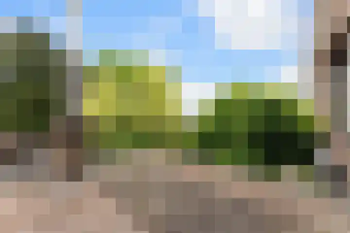 Hoefweg 141 Bleiswijk thumbnail 26