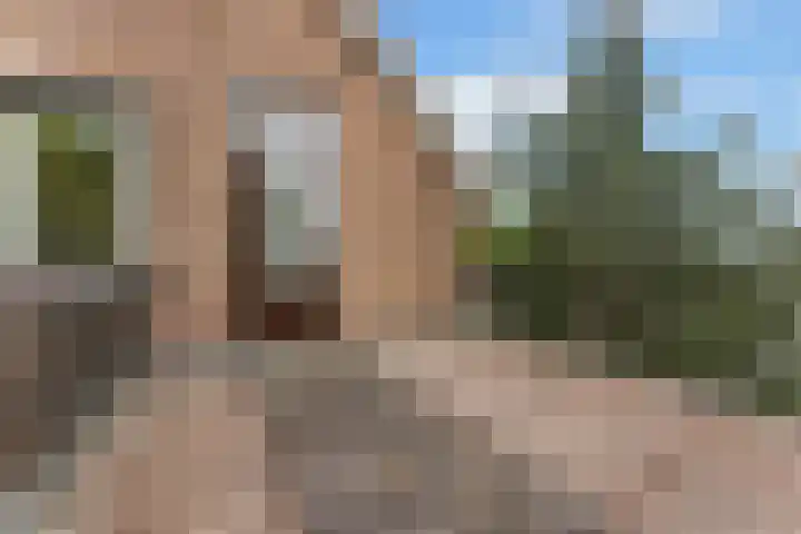 Hoefweg 141 Bleiswijk thumbnail 27