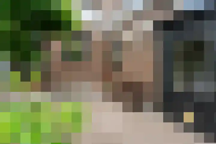 Hoefweg 141 Bleiswijk thumbnail 34