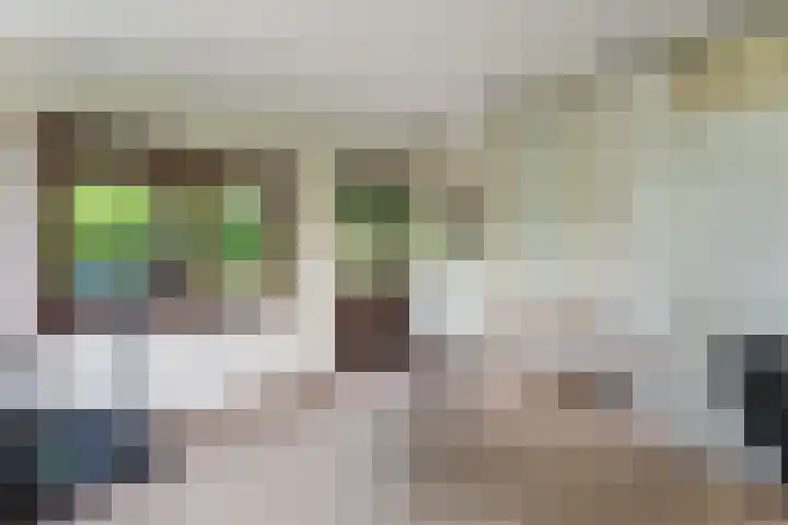 Hoefweg 141 Bleiswijk thumbnail 36