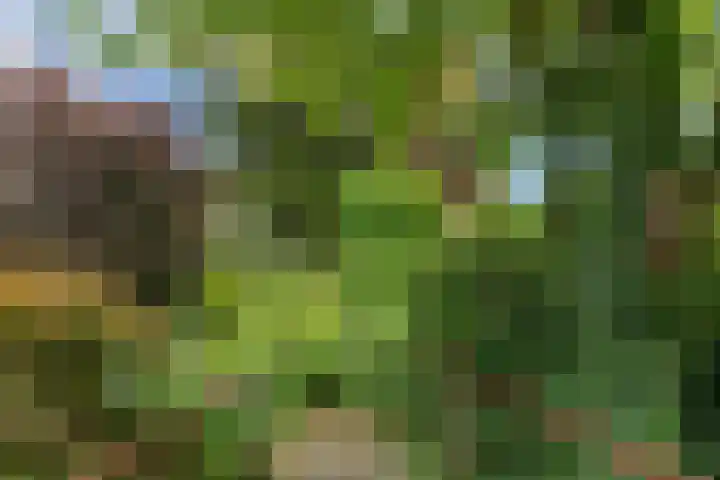 Hoefweg 141 Bleiswijk thumbnail 37