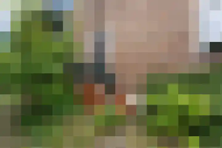 Hoefweg 141 Bleiswijk thumbnail 38