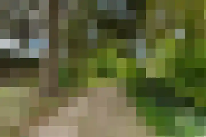 Hoefweg 141 Bleiswijk thumbnail 41