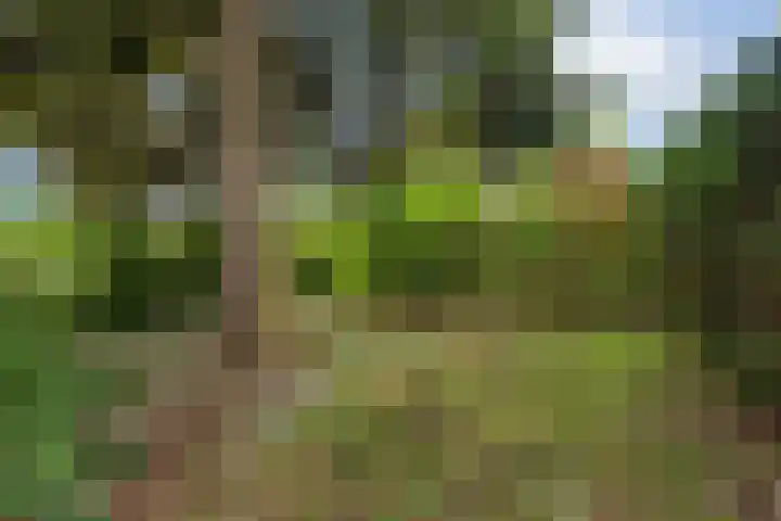 Hoefweg 141 Bleiswijk thumbnail 42