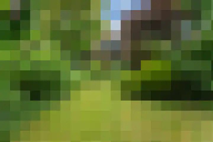 Hoefweg 141 Bleiswijk thumbnail 43