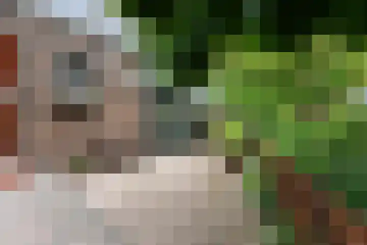 Hoefweg 141 Bleiswijk thumbnail 44