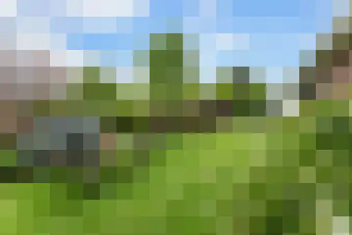 Hoefweg 141 Bleiswijk thumbnail 45