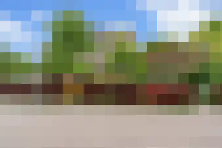 Hoefweg 141 Bleiswijk thumbnail 47