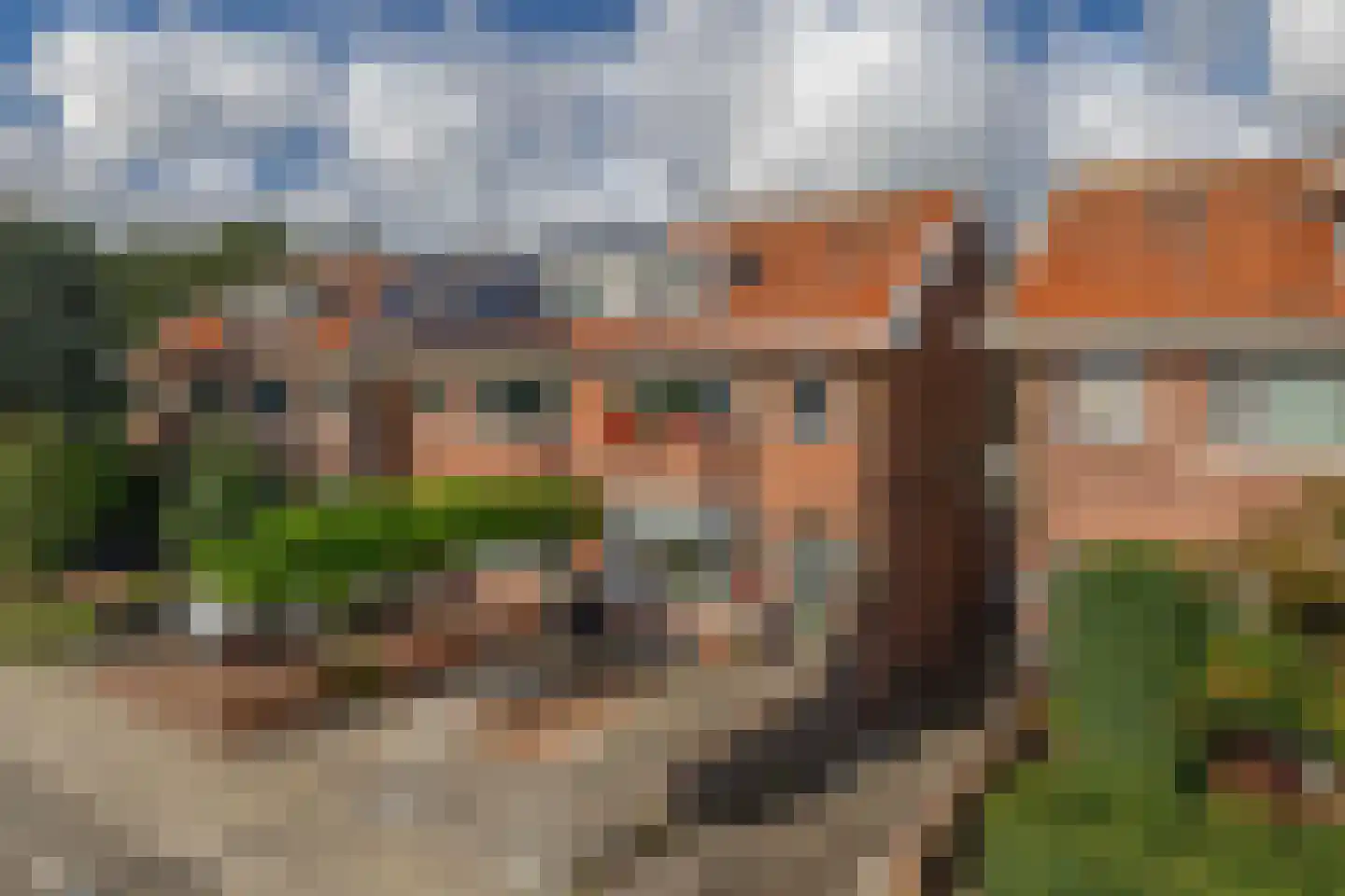 Hoefweg 164 Bleiswijk thumbnail 12