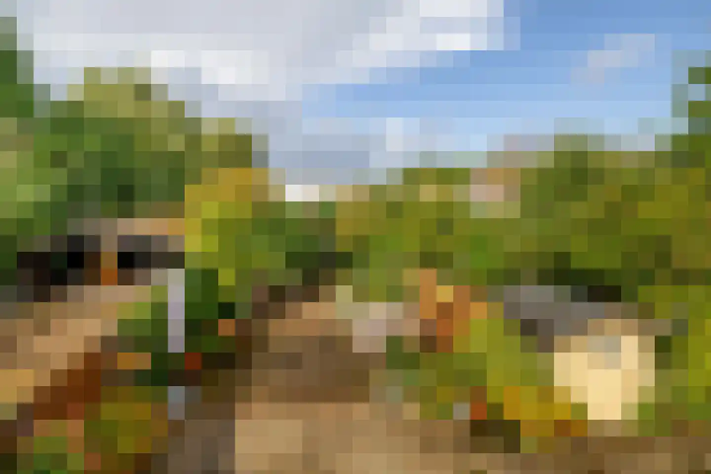 Hoefweg 164 Bleiswijk thumbnail 30