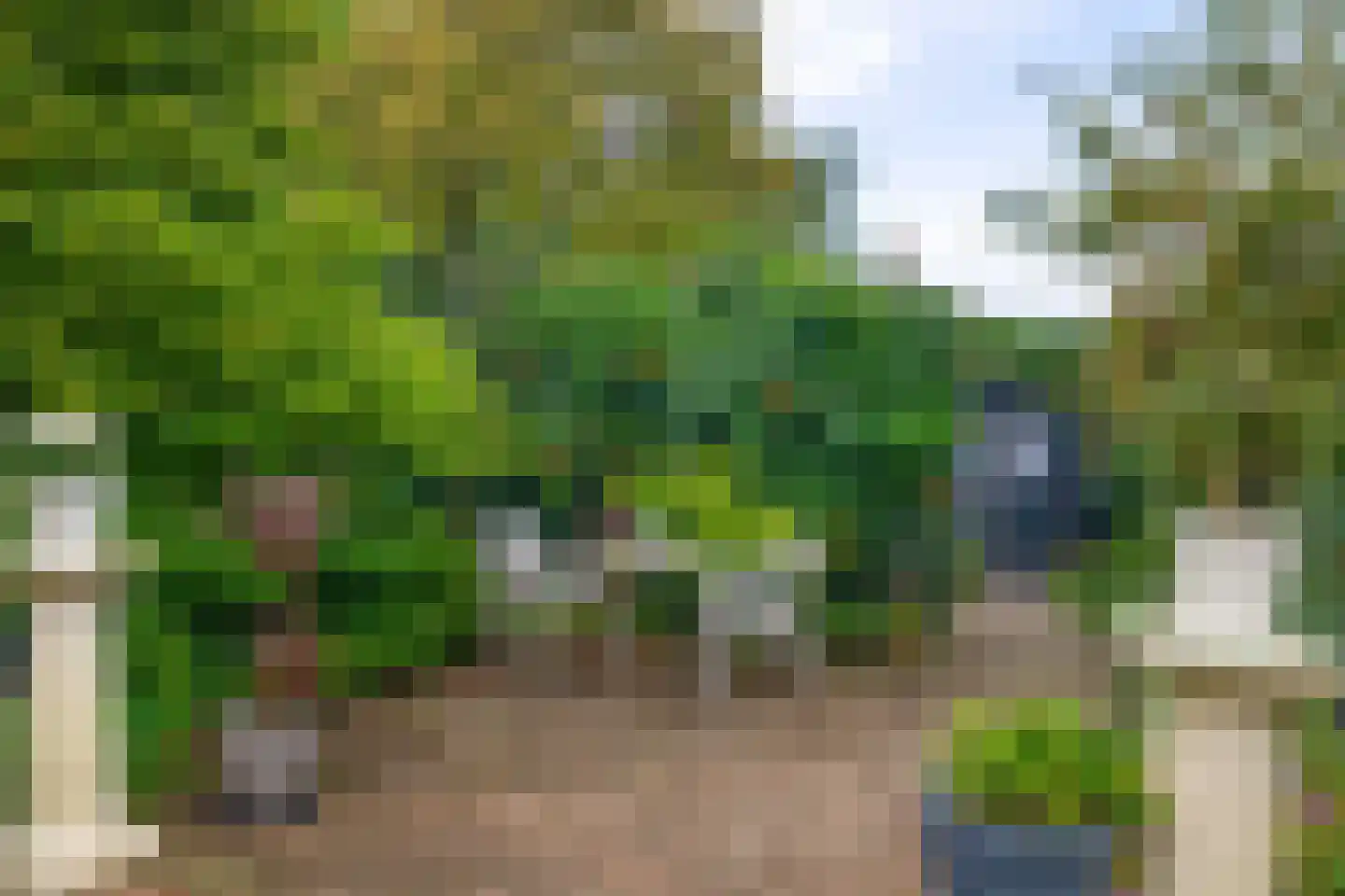 Hoefweg 164 Bleiswijk thumbnail 33