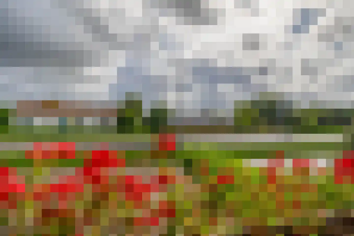 Hoefweg 164 Bleiswijk thumbnail 48