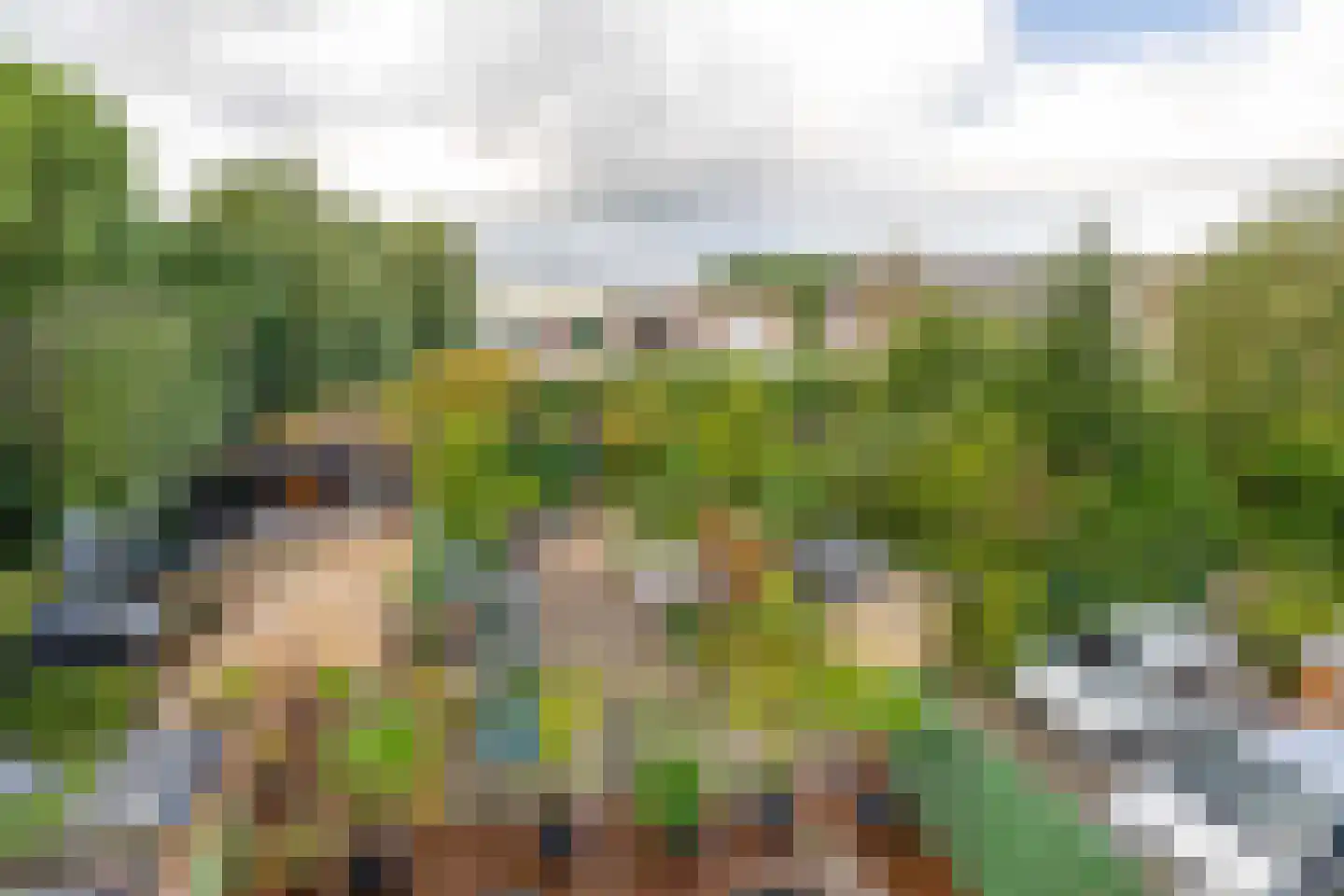 Hoefweg 164 Bleiswijk thumbnail 56