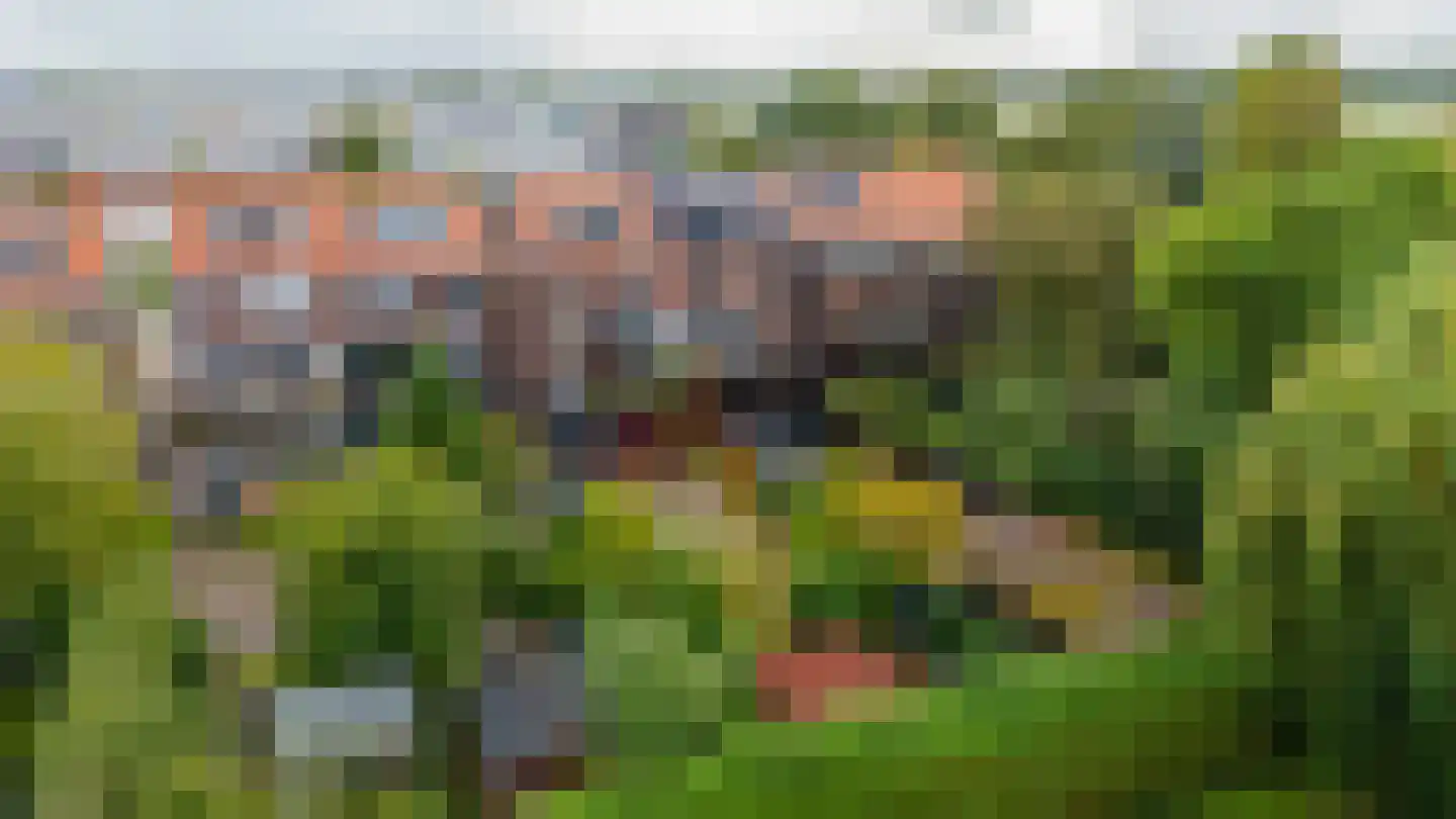Hoefweg 164 Bleiswijk thumbnail 8